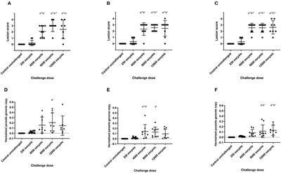 Impact of Eimeria tenella Oocyst Dose on Parasite Replication, Lesion Score and Cytokine Transcription in the Caeca in Three Breeds of Commercial Layer Chickens